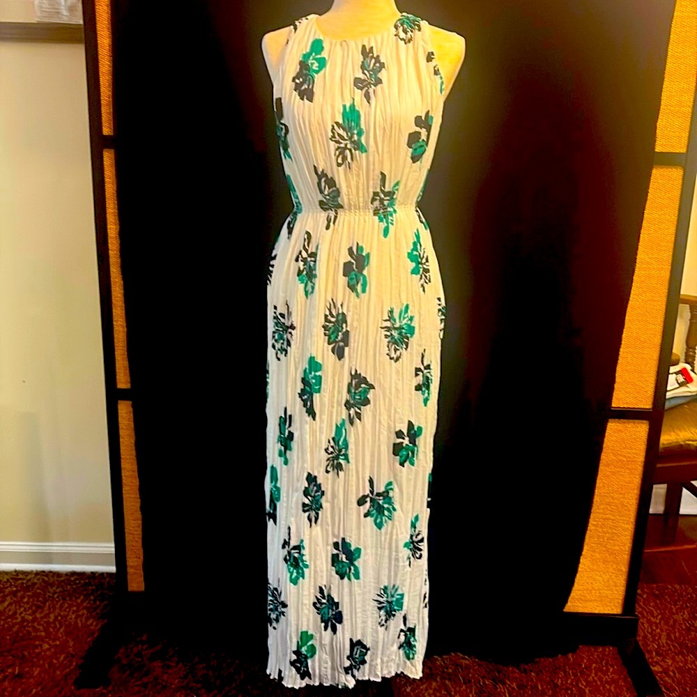 Banana Republic Floral Print Pleated Maxi Dress S